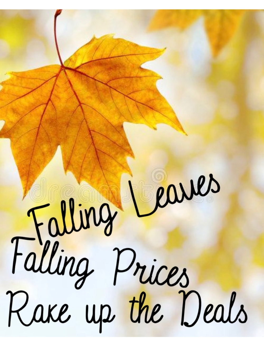 Lots of Price Drops-Lots of Newly Listed Items-New & Gently Used-Closet Staples